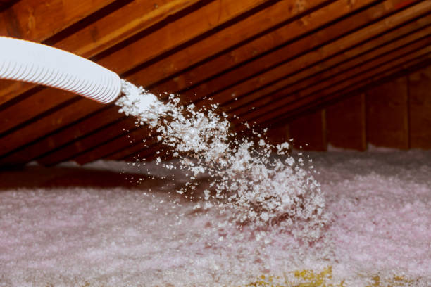 Best Fiberglass Insulation in Brownsville, KY