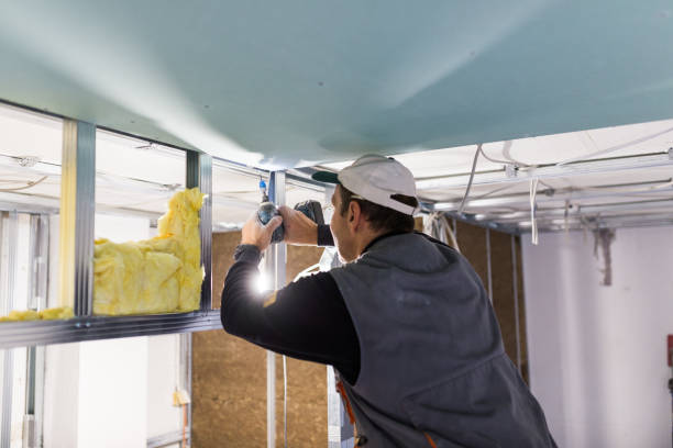 Best Insulation Maintenance and Repair in Brownsville, KY