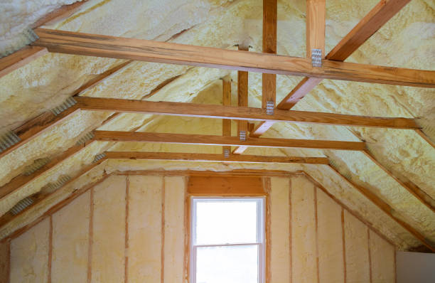 Best Specialized Insulation Services in Brownsville, KY