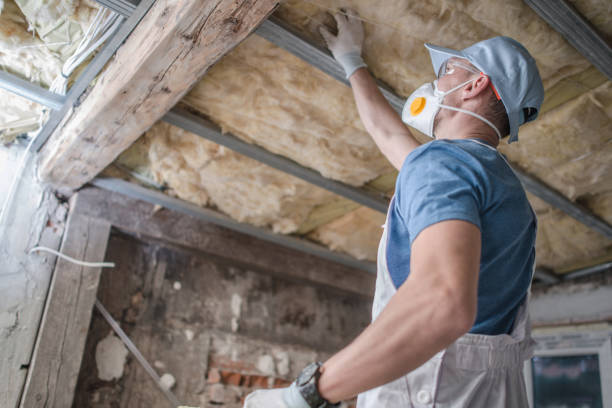 Best Blown-in Insulation in Brownsville, KY